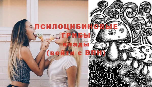 mdpv Лабытнанги