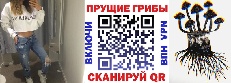 где купить наркотик Малгобек Галлюциногенные грибы MAGIC MUSHROOMS
