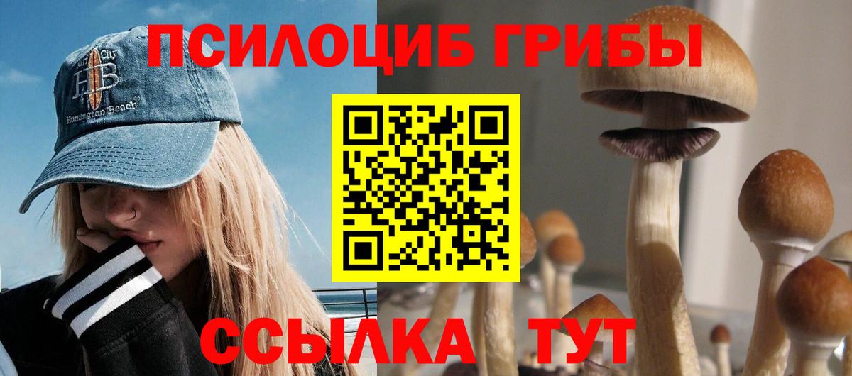 Галлюциногенные грибы Psilocybine cubensis  Галлюциногенные грибы ЛСД  Вход с VPN  Малгобек 